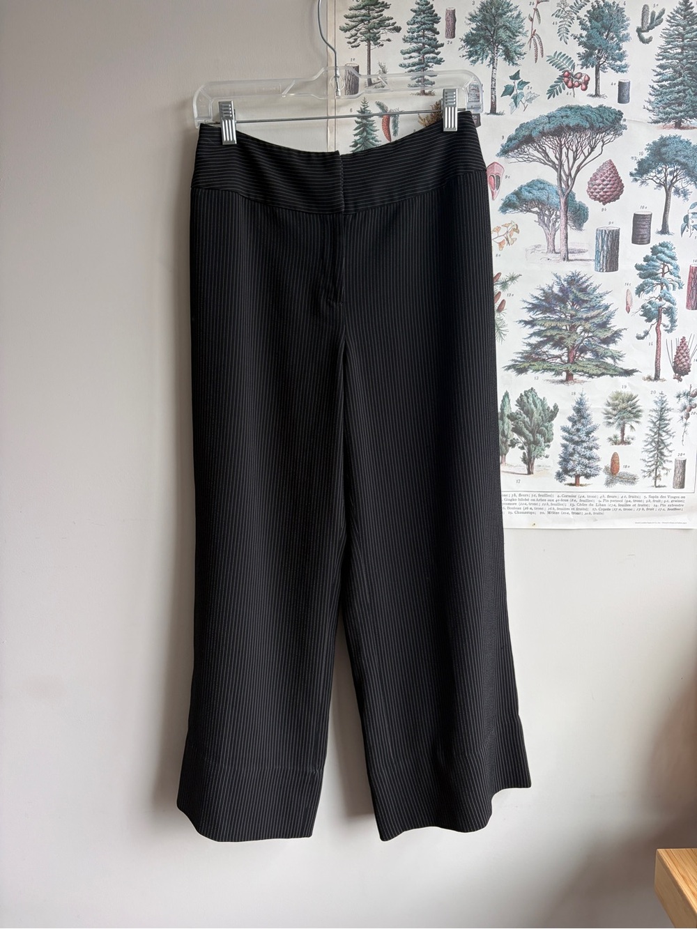 Jones New York Pinstripe Pant Size 4